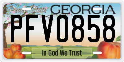GA license plate PFV0858
