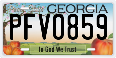 GA license plate PFV0859