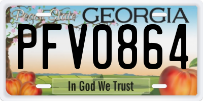 GA license plate PFV0864