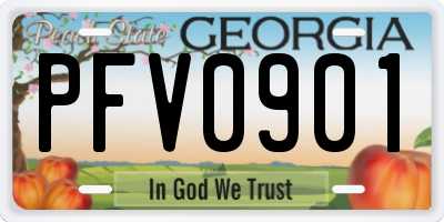 GA license plate PFV0901