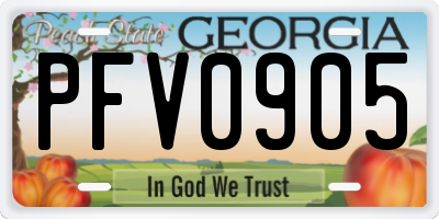 GA license plate PFV0905