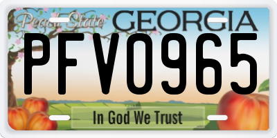 GA license plate PFV0965