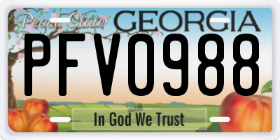 GA license plate PFV0988
