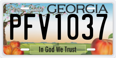 GA license plate PFV1037