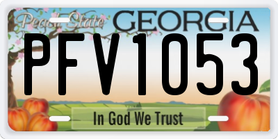 GA license plate PFV1053