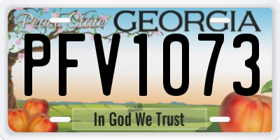 GA license plate PFV1073