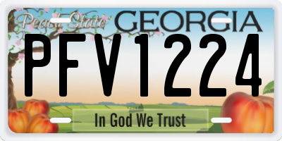 GA license plate PFV1224