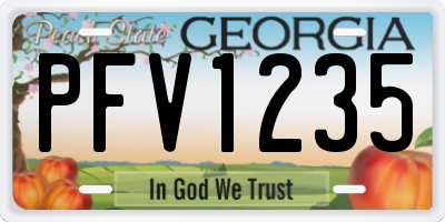 GA license plate PFV1235