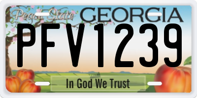 GA license plate PFV1239