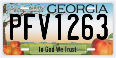 GA license plate PFV1263