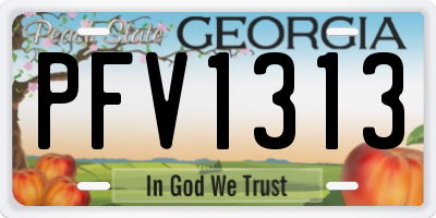 GA license plate PFV1313