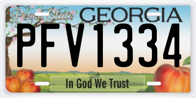 GA license plate PFV1334