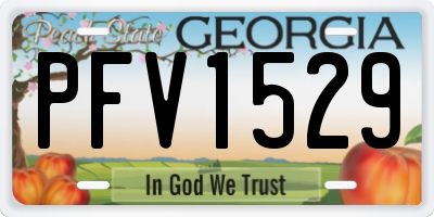 GA license plate PFV1529
