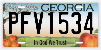 GA license plate PFV1534