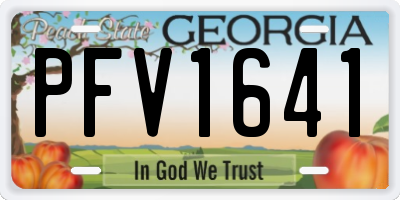 GA license plate PFV1641