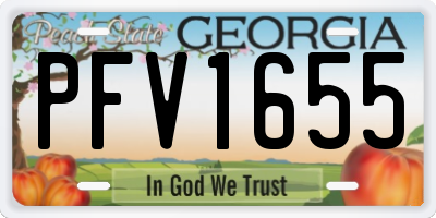 GA license plate PFV1655