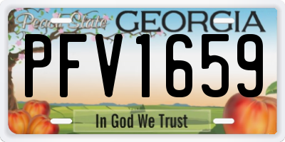 GA license plate PFV1659
