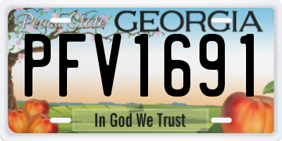 GA license plate PFV1691