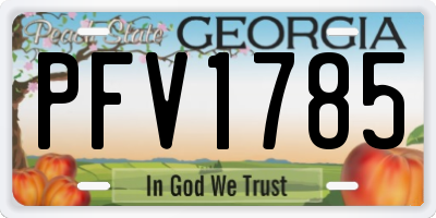 GA license plate PFV1785