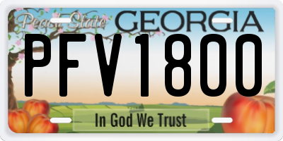 GA license plate PFV1800