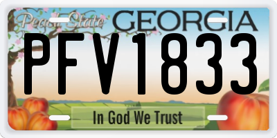 GA license plate PFV1833