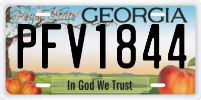 GA license plate PFV1844