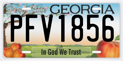 GA license plate PFV1856