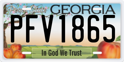 GA license plate PFV1865