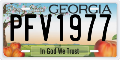 GA license plate PFV1977