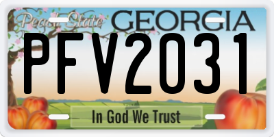 GA license plate PFV2031