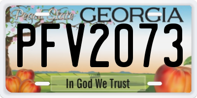 GA license plate PFV2073