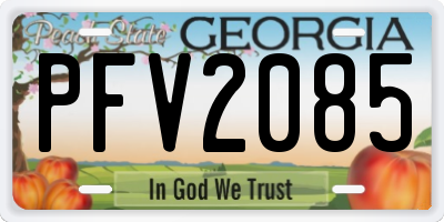GA license plate PFV2085