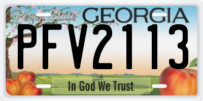 GA license plate PFV2113