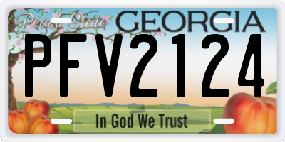 GA license plate PFV2124