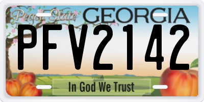 GA license plate PFV2142
