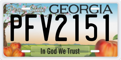 GA license plate PFV2151