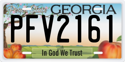 GA license plate PFV2161