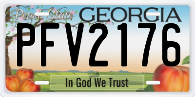 GA license plate PFV2176