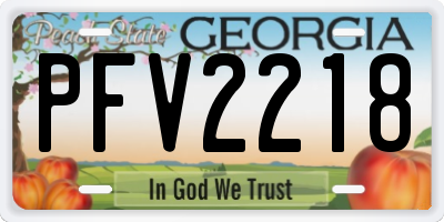GA license plate PFV2218