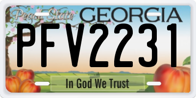 GA license plate PFV2231