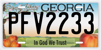 GA license plate PFV2233