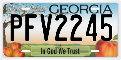 GA license plate PFV2245
