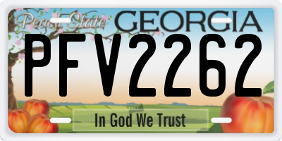 GA license plate PFV2262