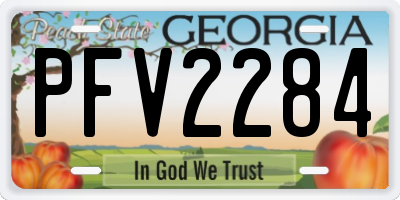 GA license plate PFV2284