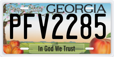 GA license plate PFV2285