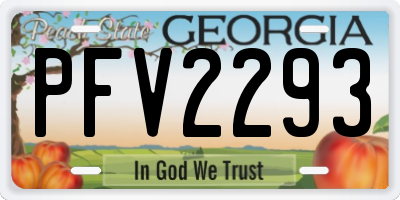 GA license plate PFV2293