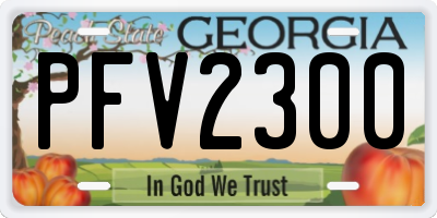 GA license plate PFV2300