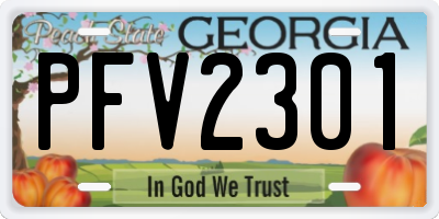 GA license plate PFV2301