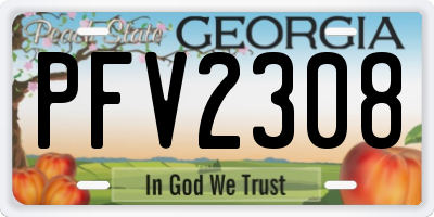GA license plate PFV2308
