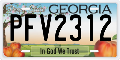 GA license plate PFV2312